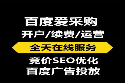 行业领先的SEM推广代运营公司案例集锦